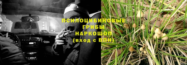 тгк Аркадак