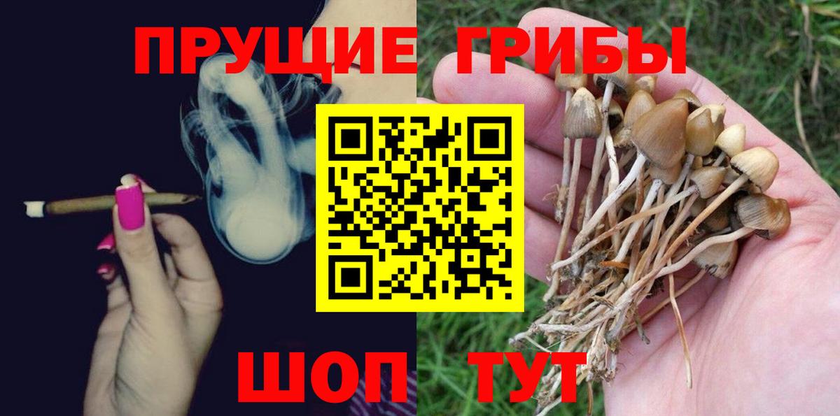Псилоцибиновые грибы GOLDEN TEACHER  Вход с VPN  Новомосковск 