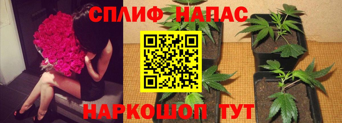 Марихуана марихуана Новомосковск